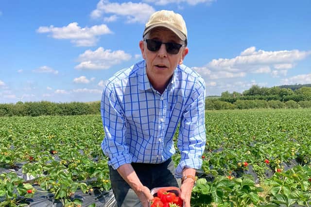 Farmer Mark Hodkinson shows off the farm's strawberries 
