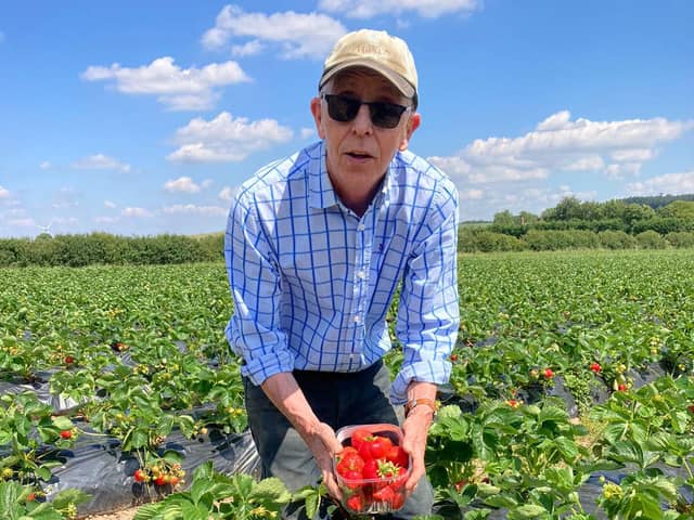 Farmer Mark Hodkinson shows off the farm's strawberries 