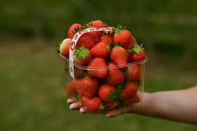 A Nottinghamshire farm is offering strawberry picking for the first time this summer 