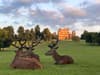 Wollaton Hall visitors could face £1k fine if they don't follow these strict deer calving rules